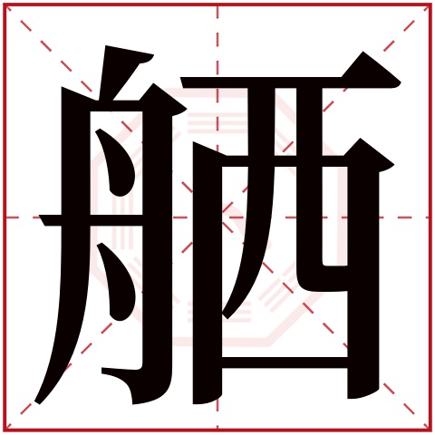 舾字五行属什么 舾字在康熙字典里多少画 