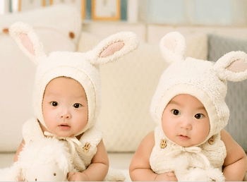 属鸡龙凤胎起名字大全 