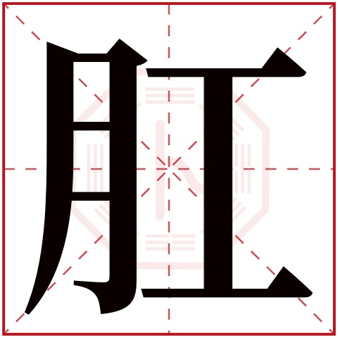 肛字五行属什么 肛字在康熙字典里多少画 