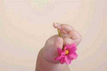 选自宋词的古风名字 