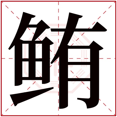 鲔字五行属什么 鲔字在康熙字典里多少画 