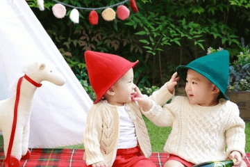 刘姓双胞胎男宝宝取名大全集 