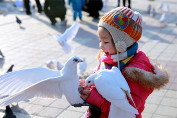 适合女孩一生顺遂的名字 