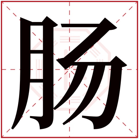 肠字五行属什么 肠字在康熙字典里多少画 