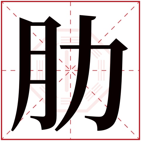 肋字五行属什么 肋字在康熙字典里多少画 