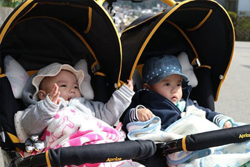 牛年龙凤胎取名 