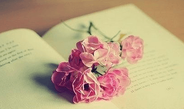 好看的英文游戏名字 