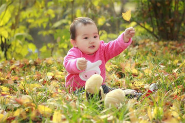 楚辞中含景字的名字 