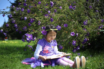 诗经小雅取名女孩 