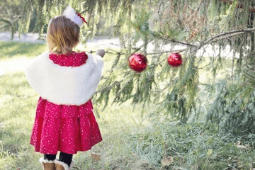 离骚中最唯美的名字女孩 