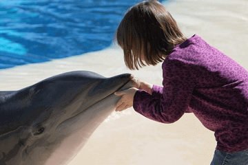 论语里女孩取名单字 