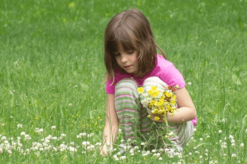 有书香气息的女孩名字 