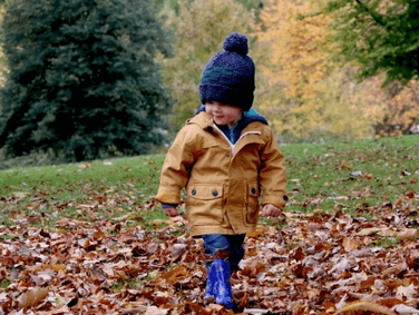 狗年如何给男孩子起个好名字 