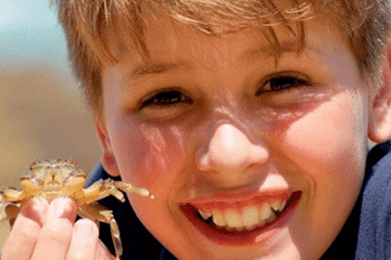 带辰的男孩名字的寓意 