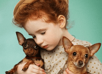 狗年女宝宝名字带诗意 