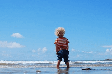 属牛女孩取名字大全 