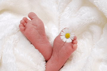 属牛儿童名字大全集 