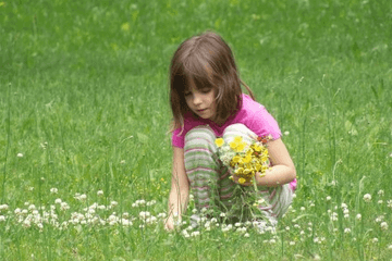 属牛女孩名字大气文雅 