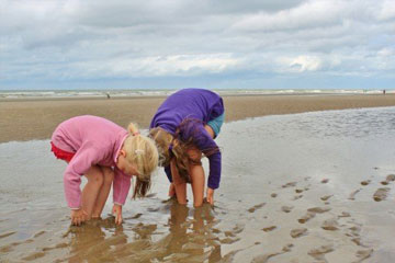 苏姓比较诗意女孩名字