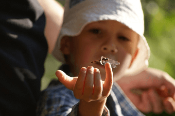 鼠年起名字大全男孩名字 
