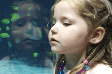 牛年酉时出生的女孩起名 