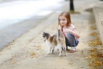 2020年冬至出生的宝宝五行缺什么，缺木起名用什么字