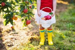 生辰八字起名字100分 带金又带木的牛年女孩名字 