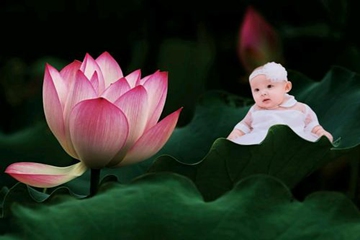 婴儿起名字生辰八字起名,给新生婴儿取个诗意的名字