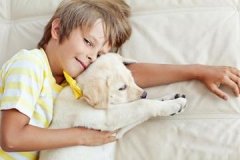 免费八字起名字男孩 2021牛宝宝免费名字 