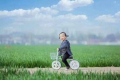 生辰八字高分起名 牛宝宝生辰八字高分名字大全 