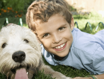 狗年男宝宝取名 