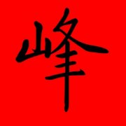 带峰的名字大全男孩 带峰字的男孩名字寓意 