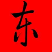 带东字的名字女孩名字 东和什么字配名好听 