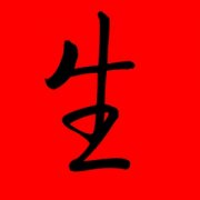 带生字的名字男孩 生字配哪个字取名好 