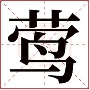 带莺字的女孩名字大全 莺在名字里的寓意 