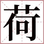 带荷字的女孩名字含义 含有荷字的女孩名字 