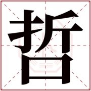 哲字取名的寓意男孩 以哲结尾的男孩名 