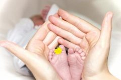 有气质的名字女孩 有涵养的女孩名字 