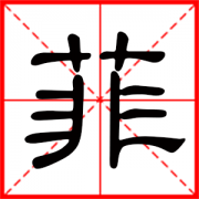 菲字和什么字配 用菲字起名女孩名字 