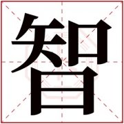 缺火男孩取名带智字 带智取什么名字好 