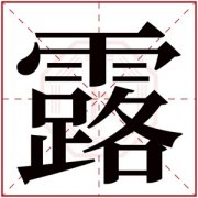 露和什么搭配最好听 含有露字的女孩名字 