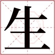 缺金男孩取名带生字 生字取名男孩名字 