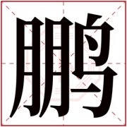 带鹏字的男孩名字 男孩取名大气带鹏字 
