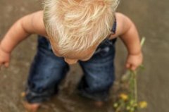 属牛的人要配什么名字比较好 属牛用什么名字最好 