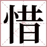 惜字的女孩名字唯美 与惜字搭配的名字 