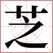 芝字的女孩名字大全 女生名字带芝 