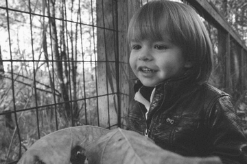 生肖牛取名合适用字 