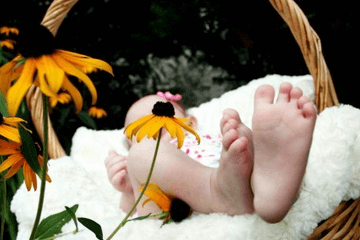 属牛的男宝宝叫什么名字好 