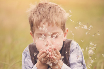 兔宝宝最火乳名不叠字这样取有创意独一无二 