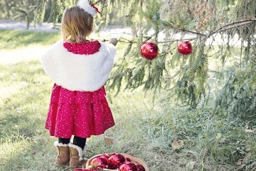 女孩高贵内涵名字 